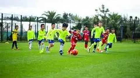 【金彩汇萃】26012期大乐透独家胆码攻略：揭秘必杀码08！