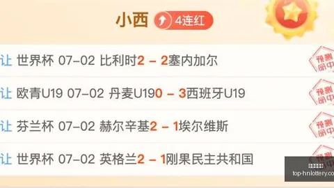 智利杯大爆冷主队让步少，究竟何意智利杯赛终极指南